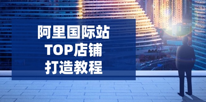 阿里国际站TOP店铺打造教程：涵盖平台到高阶，解决运营难题，提升询盘-金创谷