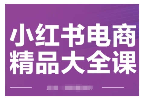 小红书电商精品大全课，快速掌握小红书运营技巧，实现精准引流与爆单目标，轻松玩转小红书电商(更新2月)-金创谷