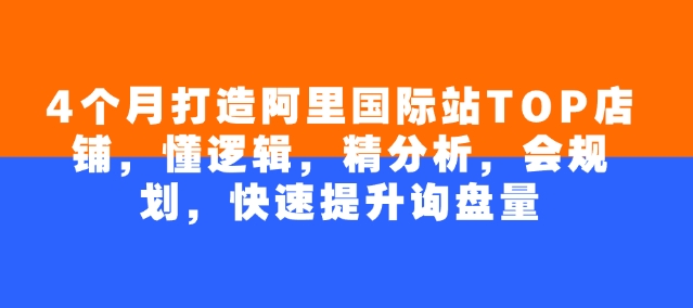 4个月打造阿里国际站TOP店铺，懂逻辑，精分析，会规划，快速提升询盘量-金创谷