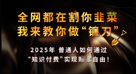 知识付费如何做到月入过W+，2025我来教你做“镰刀”【揭秘】-金创谷