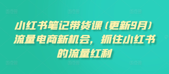 小红书笔记带货课(更新25年2月)流量电商新机会，抓住小红书的流量红利-金创谷
