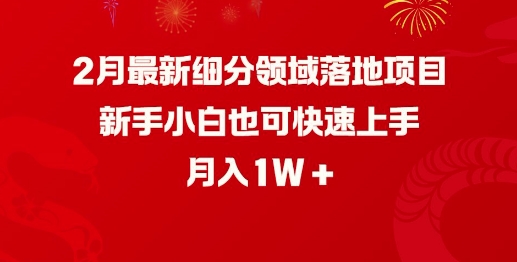 2月最新细分领域落地项目，新手小白也可快速上手，月入1W-金创谷