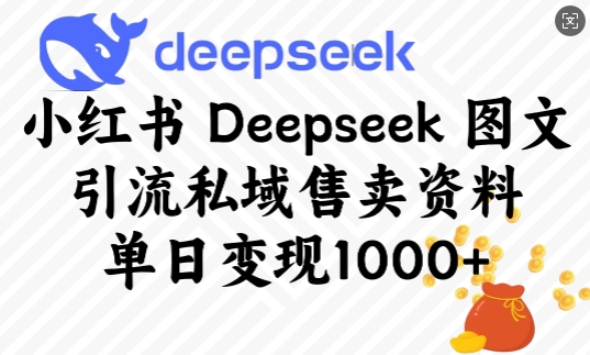 小红书Deepseek图文引流私域售卖资料，单日变现多张-金创谷