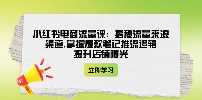 小红书电商流量课：揭秘流量来源渠道,掌握爆款笔记推流逻辑,提升店铺曝光-金创谷