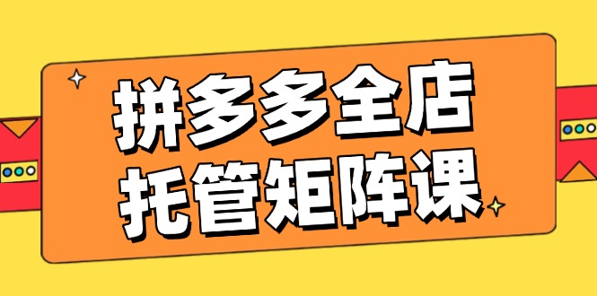 拼多多全店托管矩阵课，盈利动销玩法，高效计划设置，提升店铺效益-金创谷