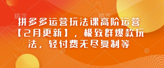拼多多运营玩法课高阶运营【2月更新】，极致群爆款玩法，轻付费无尽复制等-金创谷