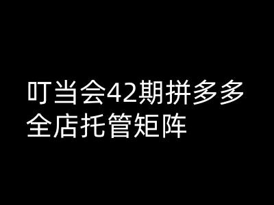 叮当会拼多多打爆班原创高阶技术第42期，拼多多全店托管矩阵-金创谷