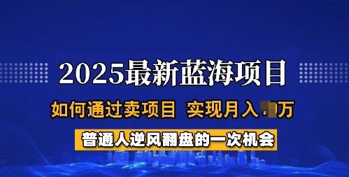 2025蓝海项目，普通人如何通过卖项目，实现月入过W，全过程【揭秘】-金创谷