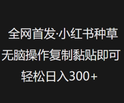 全网首发，小红书种草无脑操作，复制黏贴即可，轻松日入3张-金创谷
