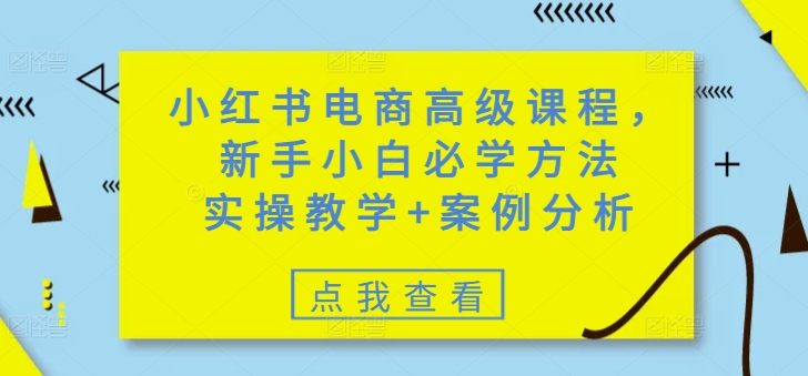小红书电商高级课程，新手小白必学方法，实操教学+案例分析-金创谷