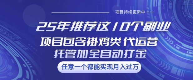25年推荐这10个副业项目包含褂鸡类、代运营托管类、全自动打金类【揭秘】-金创谷