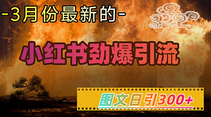小红书超劲爆引流手段，图文日引300+轻松变现1W-金创谷