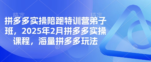 拼多多实操陪跑特训营弟子班，2025年2月拼多多实操课程，海量拼多多玩法-金创谷