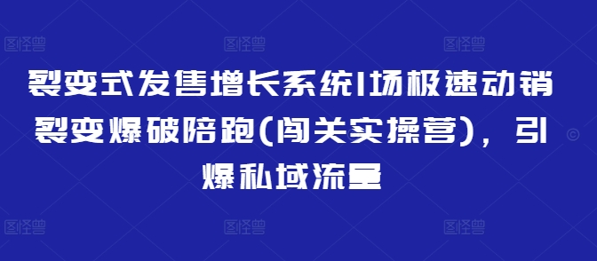 裂变式发售增长系统1场极速动销裂变爆破陪跑(闯关实操营)，引爆私域流量-金创谷